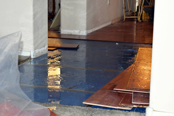 Professional Burst Pipe Cleanup technician working in Ben Wheeler, TX